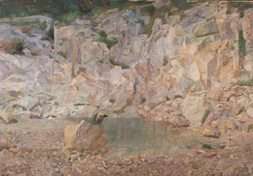 El buitre en la roca
