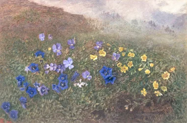 Flores de montaña de primavera, 1896