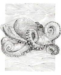 Dibujo lineal de pulpo en blanco y negro