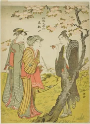 Colina Toei (Toeizan), de la serie "Cinco colinas de Edo (Koto no gozan)"