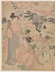 Mujeres Contemplando los Cerezos en Flor en Asukayama