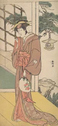 Arashi Ryuzo como una Mujer Alta de Pie en el Engawa