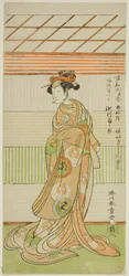 El actor Segawa Kikunojo II como la cortesana Maizuru en la obra Furisode Kisaragi Soga, representada en el Teatro Ichimura en el segundo mes, 1772