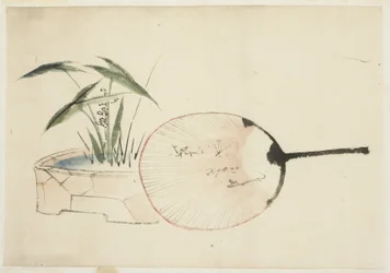 Arreglo de abanico y planta