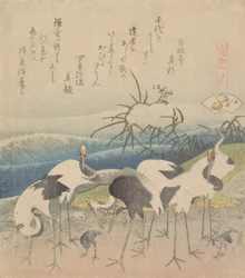 Ashi Clam, de la serie Genroku Kasen Kai-awase