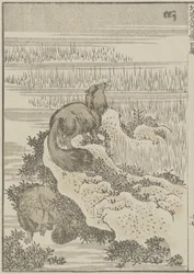 Tejón, c. 1840