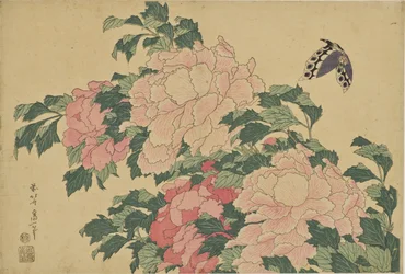 Mariposas y peonías