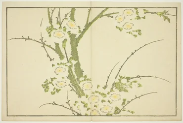 Flores, del Libro de Imágenes Realistas de Hokusai (Hokusai shashin gafu)