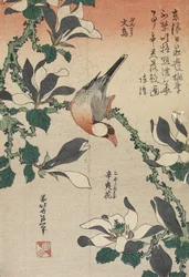 Gorrión de Java y Magnolia, c. 1832