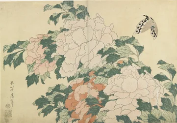 Peonías y Mariposa, c. 1830-1831