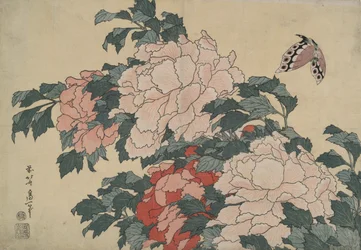 Peonías y mariposas, de una serie sin título llamada Flores grandes