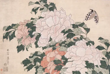 Peonías rosas y rojas sopladas a la izquierda en una brisa y una mariposa