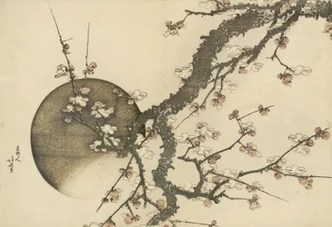 Flor de ciruelo y la luna del libro Monte Fuji en primavera