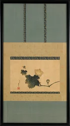 Vid de calabaza y mosca de caballo, ca. 1825-1833