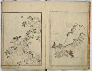 Bocetos aleatorios de Hokusai