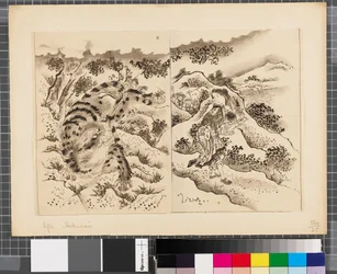 Escenas de la guerra entre Japón y Corea, finales del siglo XVIII-primera mitad del siglo XIX (tinta y aguada sobre papel)
