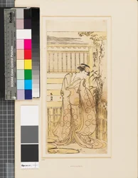 Segawa Kikinojō en el exterior de una casa interpretando el papel de una cortesana de Hoso-ya.