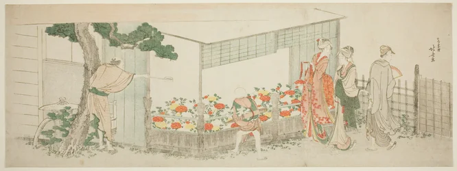 La exhibición de peonías