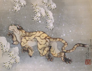 Tigre en una tormenta de nieve