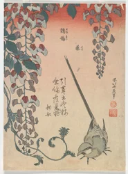 Lavandera y glicinia, período Edo, 1834
