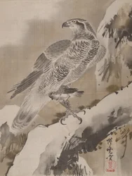 Águila sosteniendo un pájaro pequeño