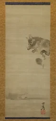 Tanuki Perro Mapache Viendo Su Reflejo en el Agua