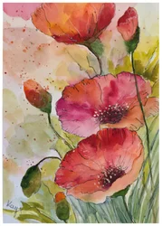 Amapolas en acuarela de vivos colores