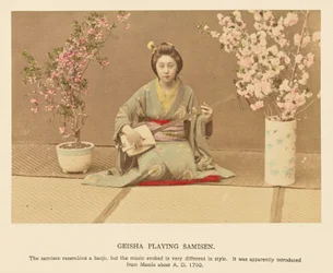 Geisha tocando el samisen
