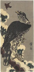 Águila y Gorrión