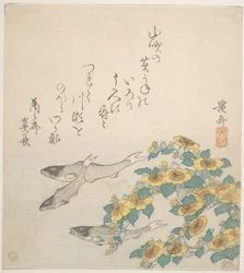 Peces nadando con flores amarillas