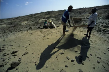 Allia Bay, Kenia; Turkana; Alan Walker, Pennsylvania State Unive...