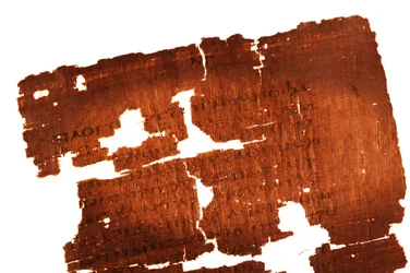 Detalle de la página del Evangelio de Judas en la que se lee "El relato secreto de la revelación que..., 2006 (foto)