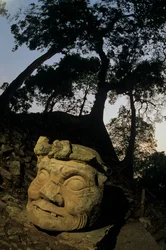 Dios N, Ceiba, templo, Maya, Copan, Honduras, Periodo Clásico
