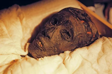Cabeza y rostro de la momia del rey Tutankamón, 2005 (foto)