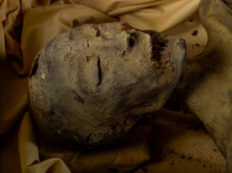 Momia de la madre del Rey Tut (conocida como la Dama Joven)