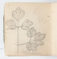Página de Cuaderno de Bocetos: Columbina