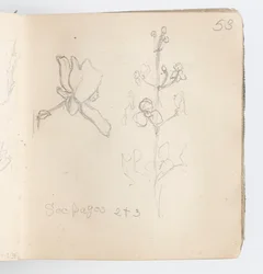 Página de cuaderno de bocetos: Boceto de flor