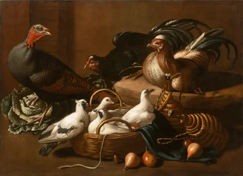 Aves de corral en la cocina