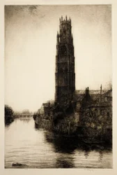 Tocón de Boston