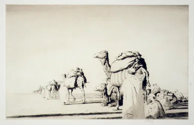 Carga en el desierto