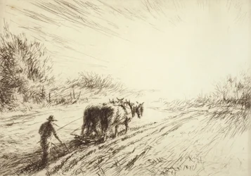 Arado temprano (primavera)
