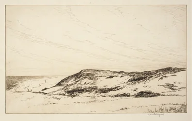 Tierras altas, Cape Cod