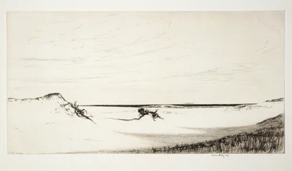 Arena y mar, Cape Cod