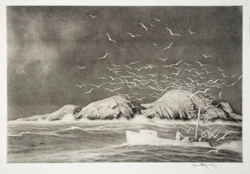 Roca Tiburón