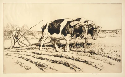 Arado de primavera