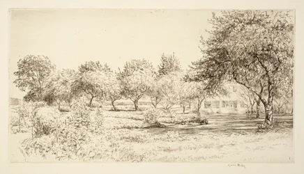 El huerto