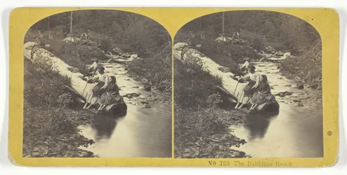 El arroyo murmurante, 185575. Creadores: Kilburn Brothers, BW Kilburn