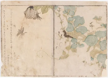 Oruga y abejas