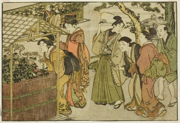 Exhibición de crisantemos, del libro ilustrado "Libro de imágenes: Flores de las cuatro estaciones," vol. 2