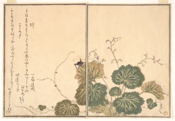 Lombriz de tierra (Mimizu); grillo (Kōrogi), del Libro ilustrado de criaturas que se arrastran (Ehon mushi erami)